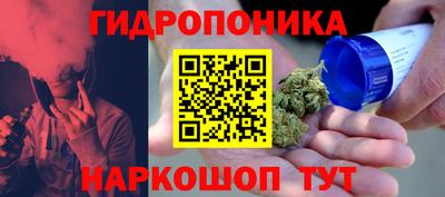 каннабис Новозыбков