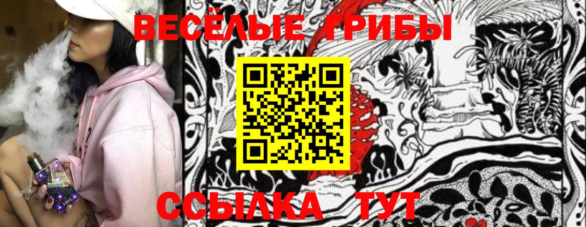 Псилоцибиновые грибы Psilocybe  Галлюциногенные грибы Psilocybe  наркота  Вход с VPN  Протвино 